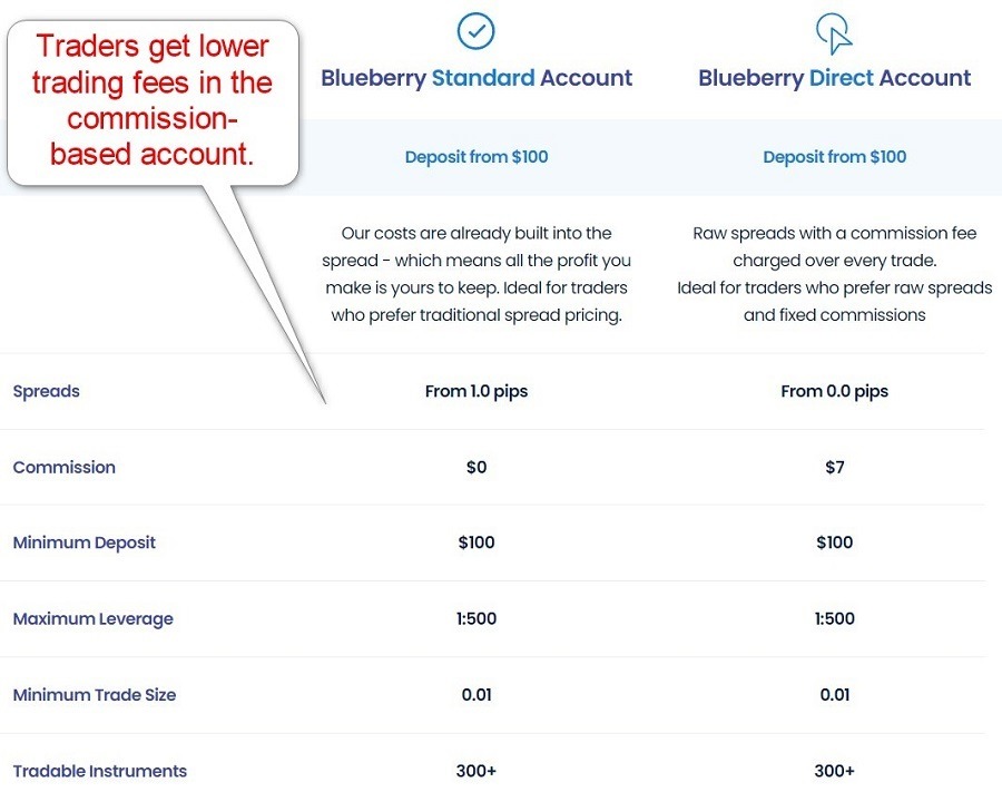 Blueberry Markets Account Types
